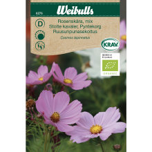 Stolte kavalerer mix økologisk